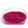 Blueberry Fruit Powder