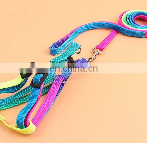 Dog Collar photo-3