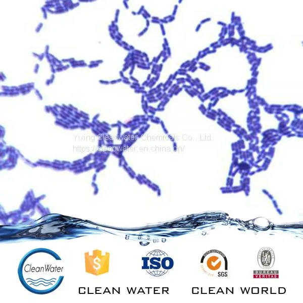 ANAEROBIC BACTERIA AGENT