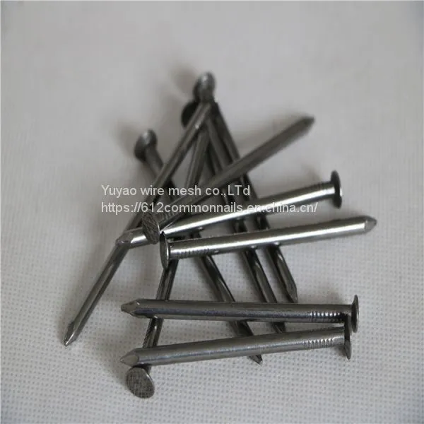 Iron Wire Nails Wood Nail photo-2