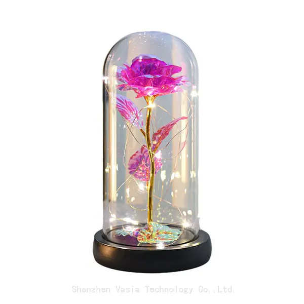Artificial Preserved Roses in Glass Dome with LED Light Valentine's Day Gift for Women Mom Wholesale