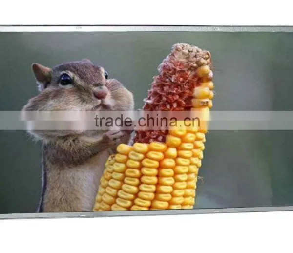 Good Quality Wholesale Price China Supplier Open Frame Lcd photo-4