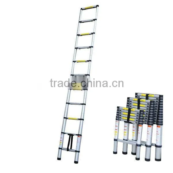 Telescopic Ladder
