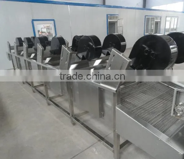 100kg/h Fried Potato Chips Production Line photo-6