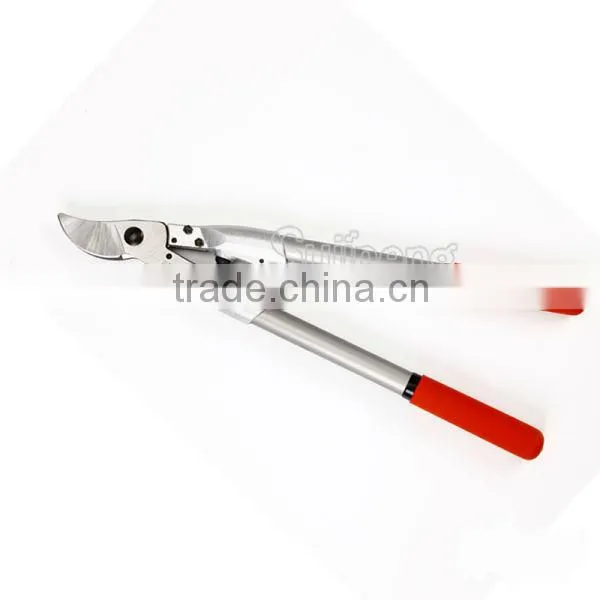 Hedge Shears