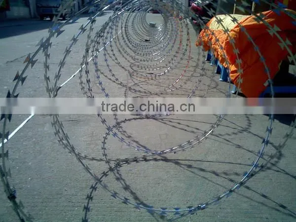 Razor Barbed Wire /razor Wire CBT-65/razor Wire Fence/concertina Razor Fence Factory photo-4