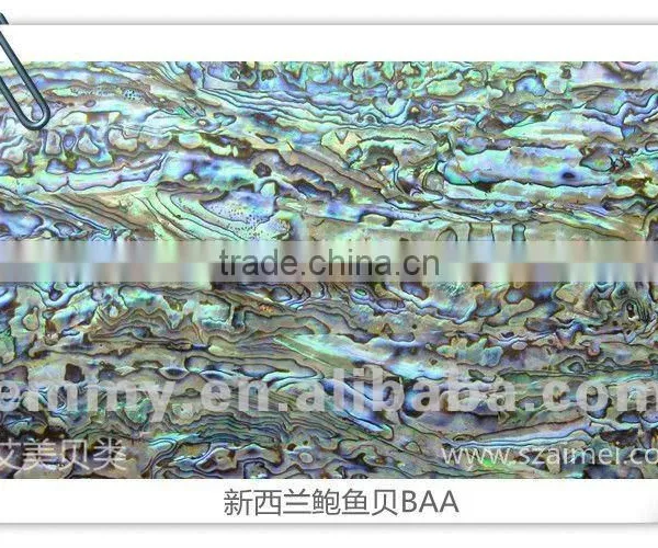 New Zealand Abalone (paua) Shell Paper