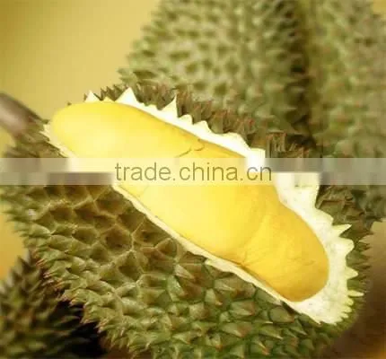 BEST PRICE VIETNAM FROZEN DURIAN photo-6