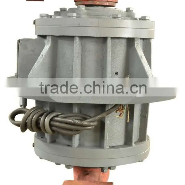 Vertical Vibrator Motor
