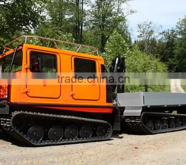 Swing Arm for BV206 photo-3