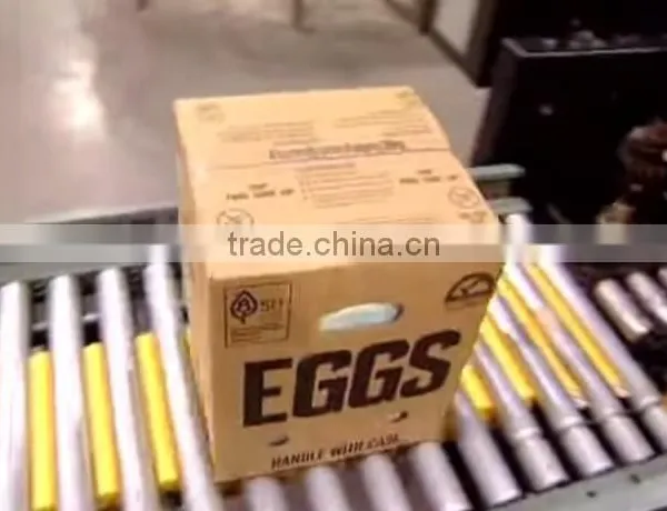 CLEAN FRESH WHITE AND BROWN EGGS FOR SALE BRAZIL ORIGIN photo-4