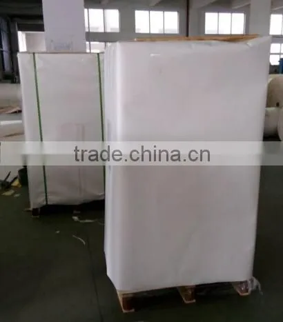 Welcome to Ask pe Coated Cup Stock Paper photo-2