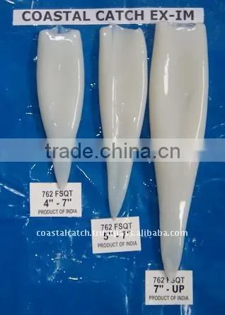 FROZEN SQUID TUBE