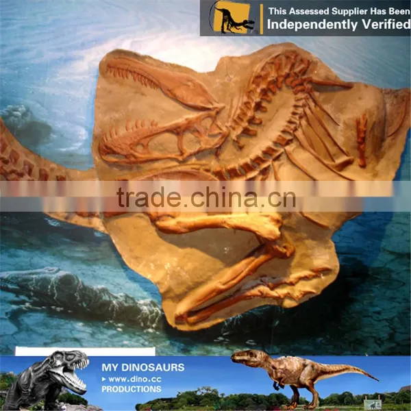 MY Dino-C094 Decorative Dinosaur Fossils Specimen photo-6