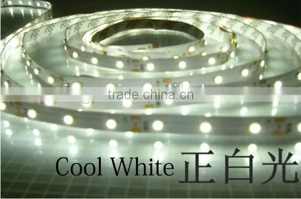 LED Strip 3528 Single Color 12V Led Strips photo-4