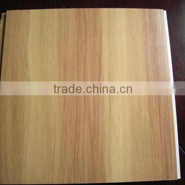 Pvc Ceiling Lamp Clear Panel
