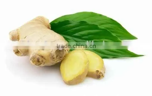 Baked Low Sulphur Natural Ginger Slice, Dehydrated Ginger Slice photo-6