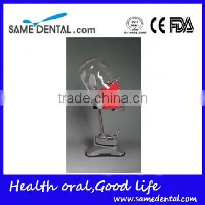 Multifunctional Simple Head Mold Dental Model photo-3