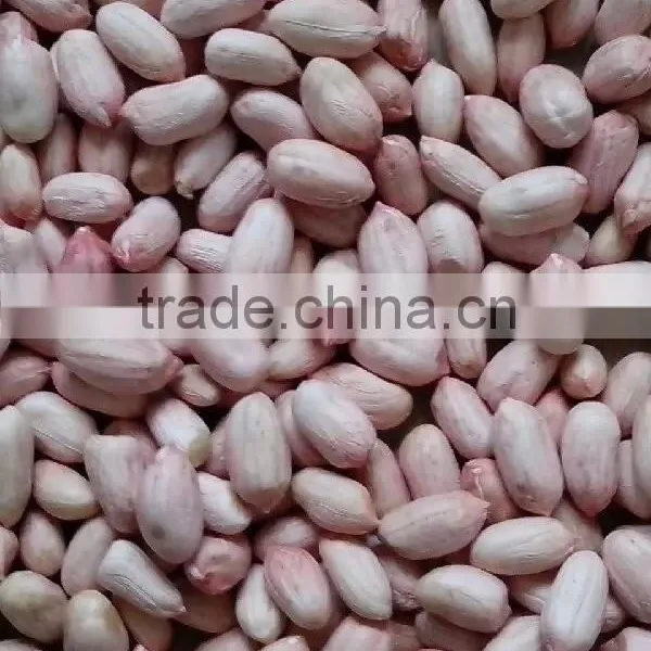 2014 Peanut Kernels, Large Size Peanut Kernels Luhua Type 24/28, 28/32, 34/38, 38/42, 45/55 photo-3