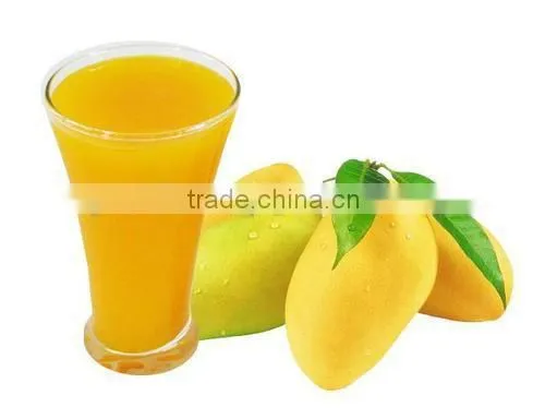 Fresh Alphonso Mango Pulp photo-2