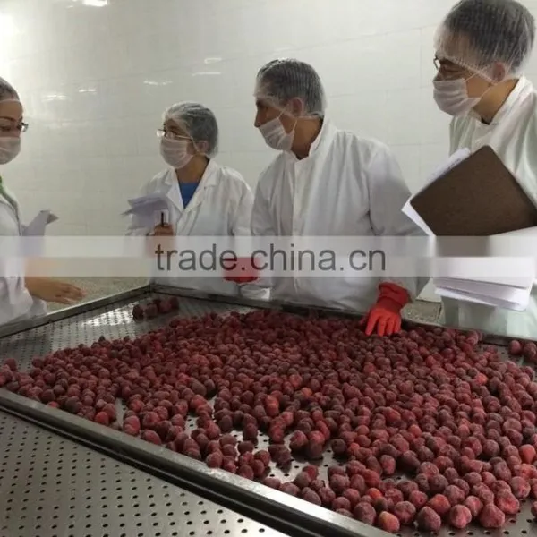 BQF Frozen Strawberry photo-4