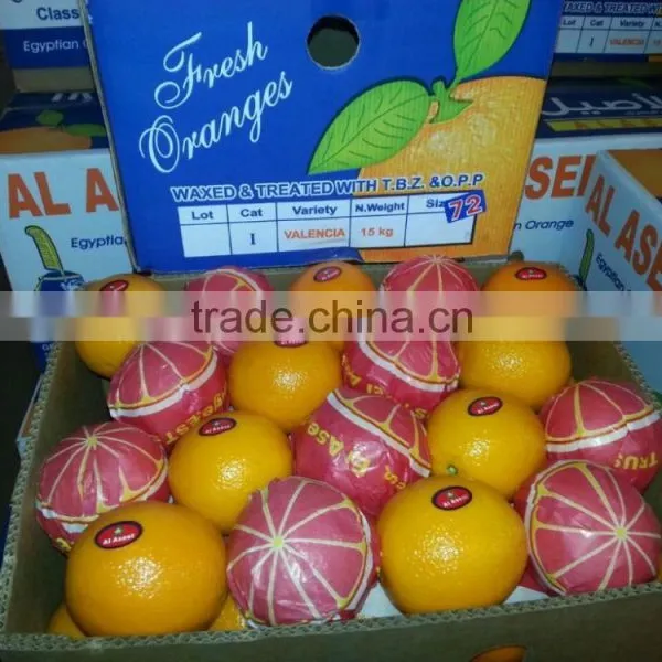 Forwell Oranges From Egypt photo-6