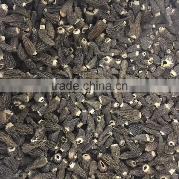 Dried Cultivated Morels
