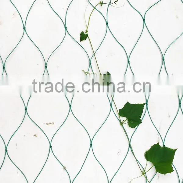 HDPE Anti Bird Netting
