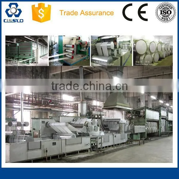 CE Standard Pet Staple Fiber Production Line photo-4