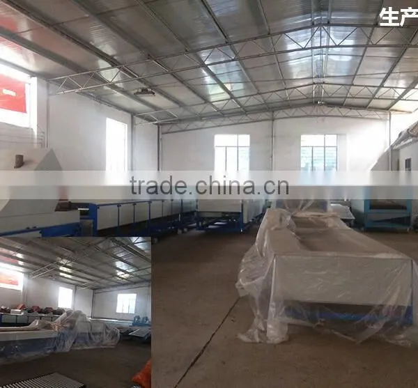 Garlic /Vegetable and Fruit Cleaning and Grading/Sorting Machine photo-6
