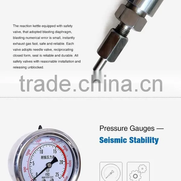 Small High Pressure Reactor Laboratory Reactor China Supplier photo-6