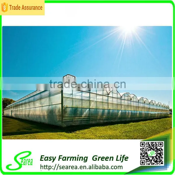 Hot Sale Glass Greenhouse Shade Green House Design photo-3