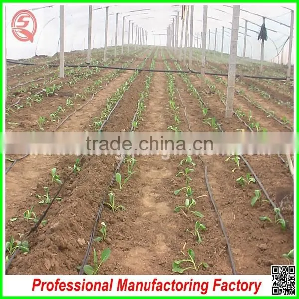 Hot Sale Agriculrtural Multi-span Poly House Plastic With Good Price photo-3