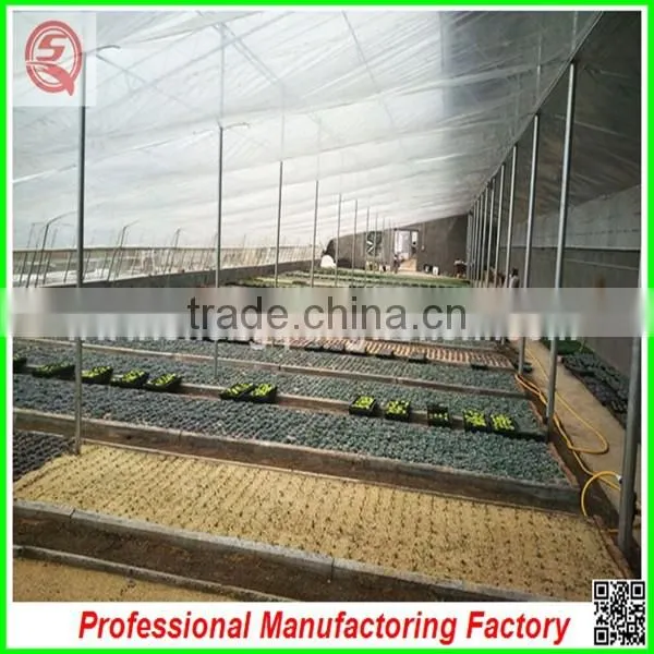 Cheapest Price PC Board Agricultural Greenhouses With Hydroponic System photo-5