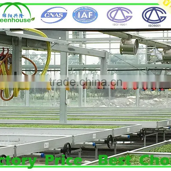Agricultural Glass Greenhouse for Sale photo-4