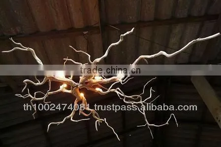Root celling lamp