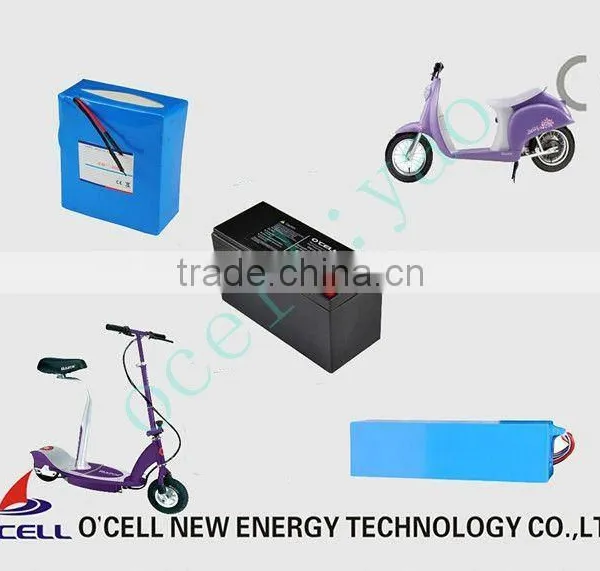 Factory Direct 12V20Ah Lithium Ion Battery With BMS and Charger photo-4