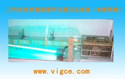 Microwave Ultraviolet Power Unit + JYMLamp/UV Photolysis of VOCs photo-3