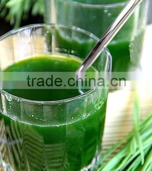 New Stainless Steel Wheat Grass/Hand Juicer/Manual Wheatgrass Extractor photo-2