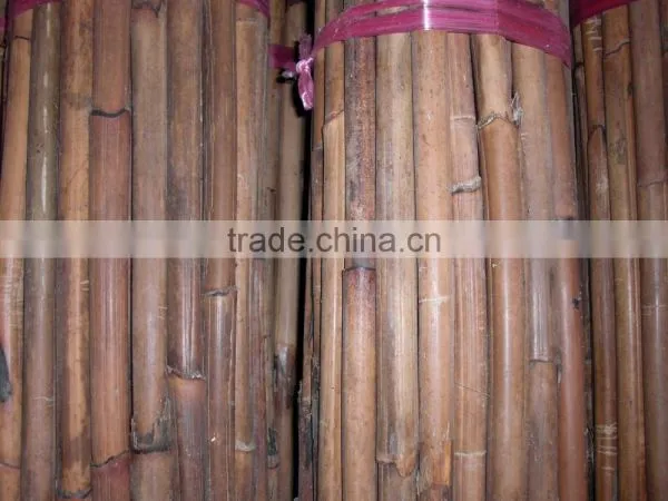 Raw Rattan Red Malacca Canes photo-6