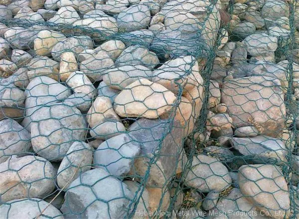 Supplier Produce Galvanized Gabion Wire Mesh Use for River Bank Protection photo-2