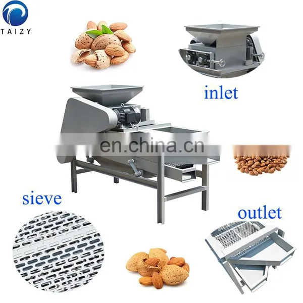 Hazelnut Cutter Almond Nut Slicer Nut Slicing Machine photo-5