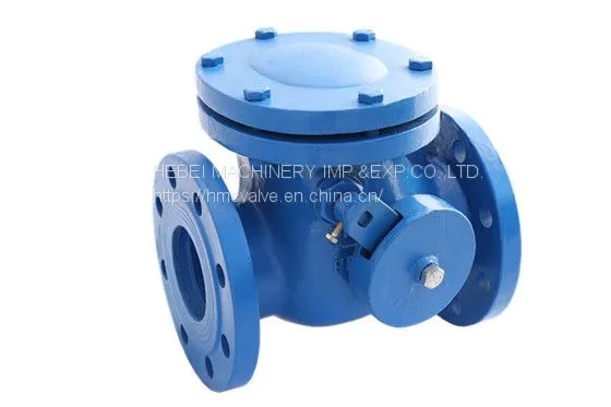 Cast Iron Check Valve photo-4