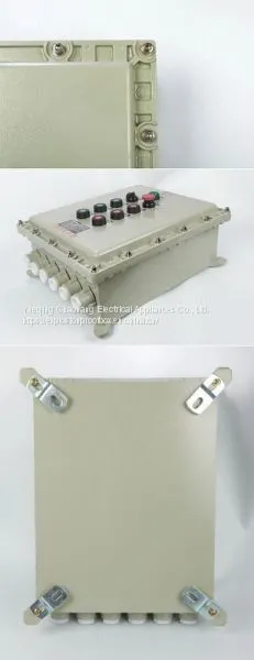 Explosion-proof Distribution Box Customized Explosion-proof Control Box Wiring Meter Box Power Lighting Distribution Cabinet photo-2