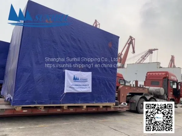 Shanghai to Korsakov Russia Logistic Service photo-4