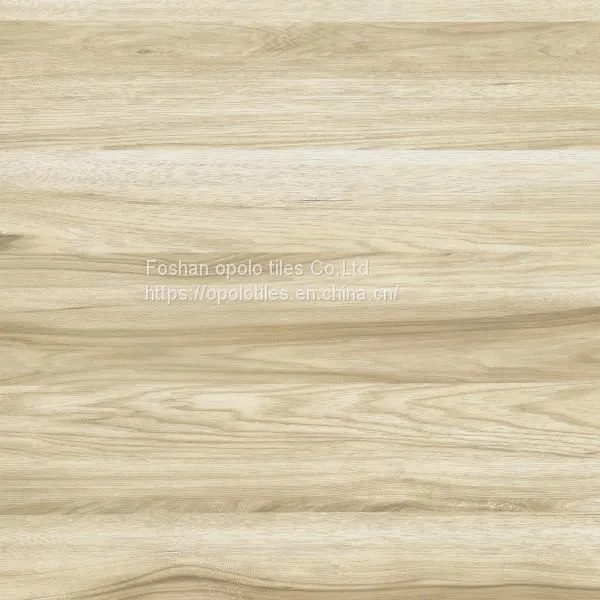 Glazed Porcelain Tiles 600X600 photo-2