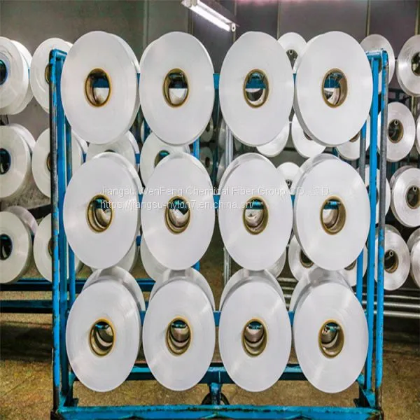 Nylon-6 Filament Yarn for Knitting & Weaving Fabric