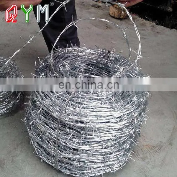 Barbed Wire for Farm Cow Fence Airport Prison Fence photo-4