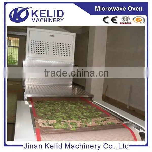 New Project Automatic Food Sterilizing Machine photo-3
