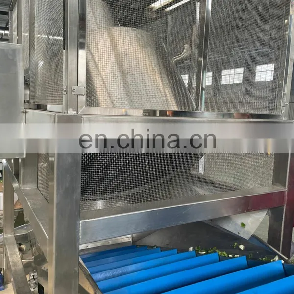 SS304 /316 Fully Automatic Good Quality Fruit Vegetable Washing Machine photo-3